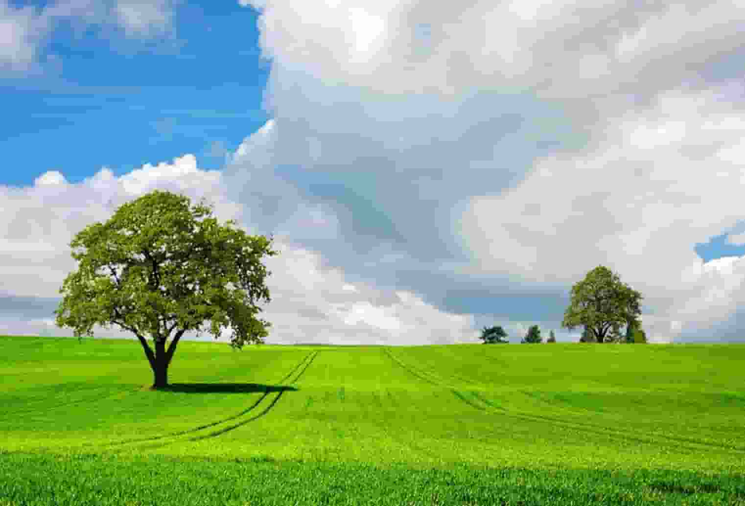 袖虎加盟故事：接宠骗局