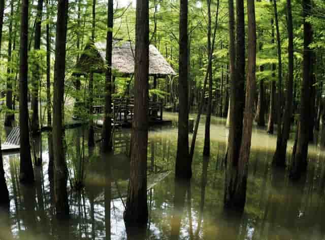 德国红外温度计怎么样(健之康红外温度计怎么样)