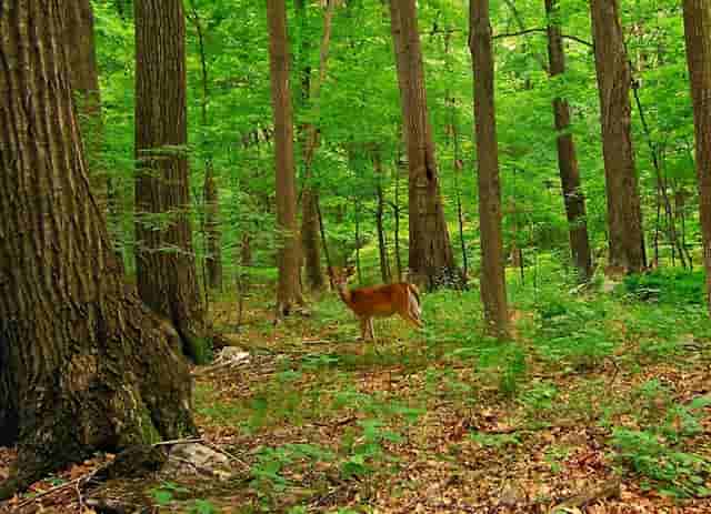 水晶真实视频大全(水晶广场舞视频大全)