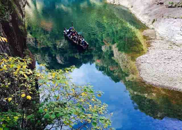 袖虎病猫攻略：突然睁不开眼的猫，用了这个方法一天就好了
