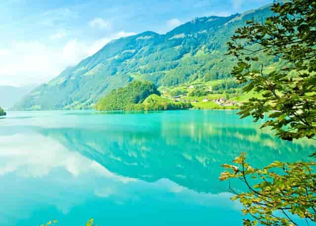 还是会爱上你(也会爱上你)