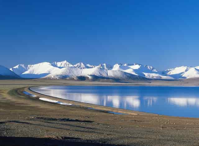 袖虎案例：猫鼻支还会容易死猫吗？