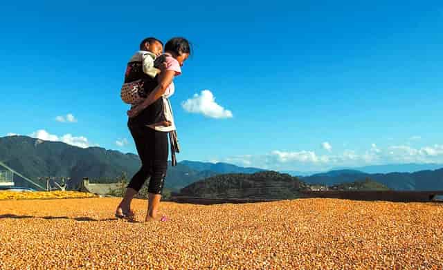 女人最健康的爱情是什么(女人最想要的爱情是什么)