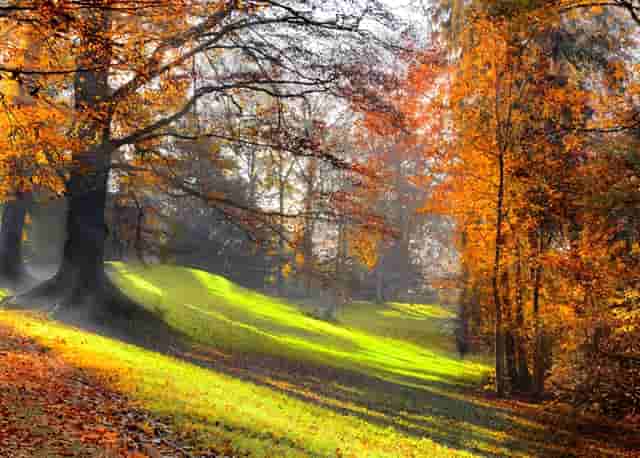 AI厂格拉苏蒂原创偏心月腕表