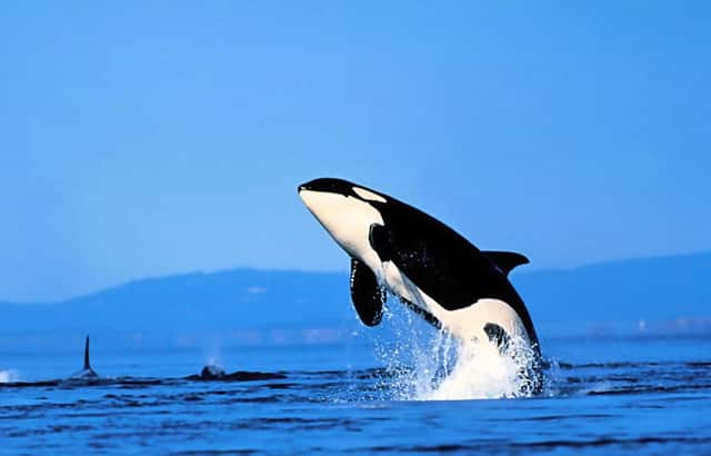 柜式空调要不要加高底座(圆柱空调加高底座)