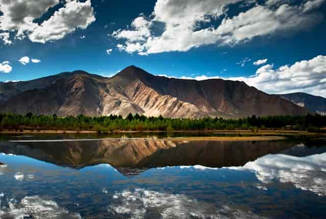 担心加盟宠物店无利可图？袖虎宠物告诉你行业真相!