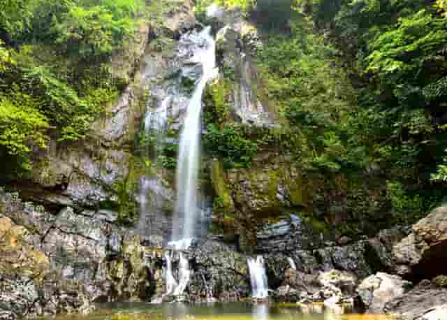 弟弟和弟媳分手了(梦见弟弟弟媳分手)
