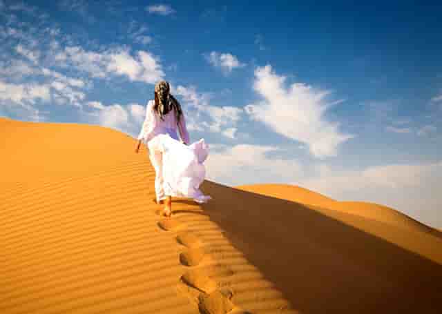 谷歌版商店(谷歌商店下载官方正版)