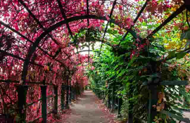 弟媳上大姑娘家蹭饭完整版