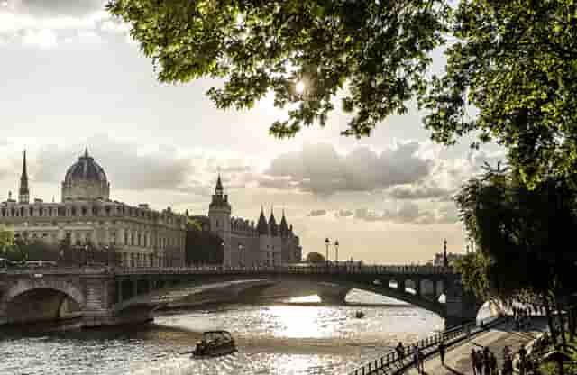 袖虎病猫攻略：母猫产后出血的解决办法