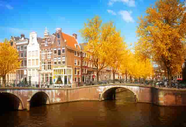 汽车改装最新方案(汽车改装减重方案)