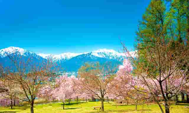 微博上的吴亦凡怎么了(吴亦凡宋秉洋怎么了)