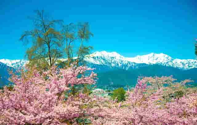 怎样减肥不瘦身(怎样睡觉能减肥能瘦身)