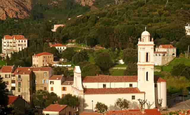 为河南捐爱心物资(河南捐了多少物资给武汉)