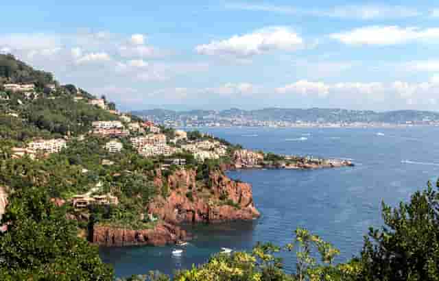 袖虎病猫攻略：猫流口水要注意