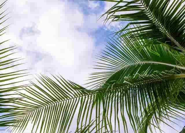 降雨天气带来的影响(降雨天气会影响航班吗)