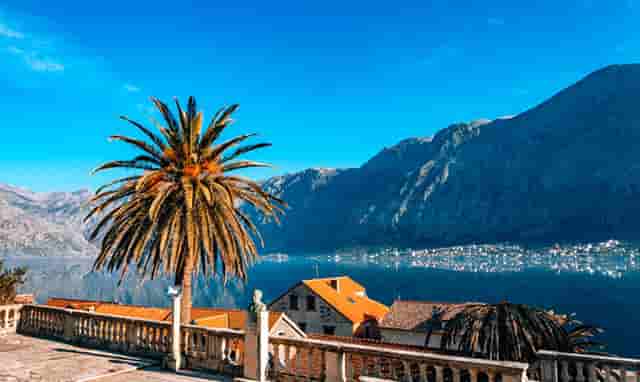 对课外辅导的教育(清华园教育课外辅导中心)