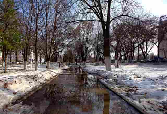 打完疫苗需停药几天(打完疫苗后停药多久)