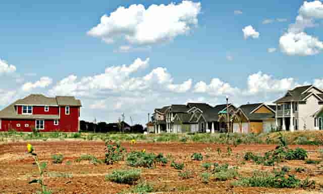 袖虎病猫攻略：猫鼻支要终身隔离吗