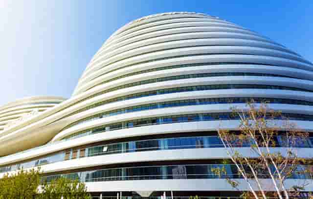 袖虎病狗攻略：狗狗关节炎的症状和治疗