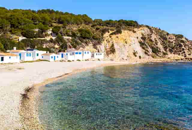 袖虎病猫攻略：猫杯状病毒的特点是什么