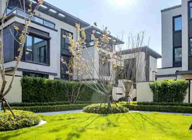 袖虎病狗攻略：犬心丝虫是什么？