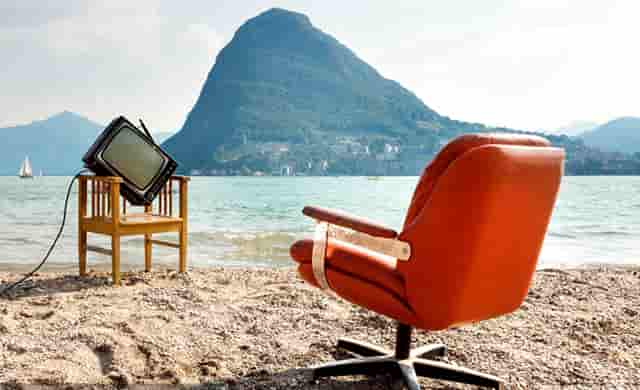 袖虎病猫攻略：预防猫跳楼，保住九条命