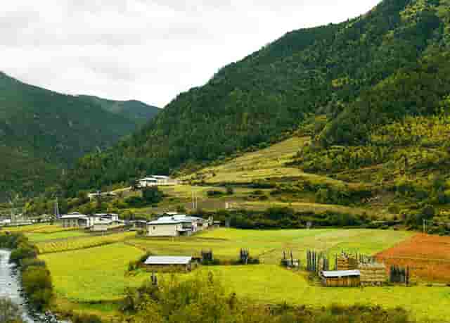 旋转锅贴排行榜(旋转锅贴机)