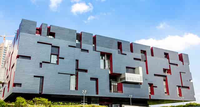 袖虎新养宠防坑：小心感冒变成猫鼻支