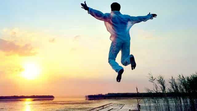 袖虎病猫攻略：猫剃毛有哪些坑